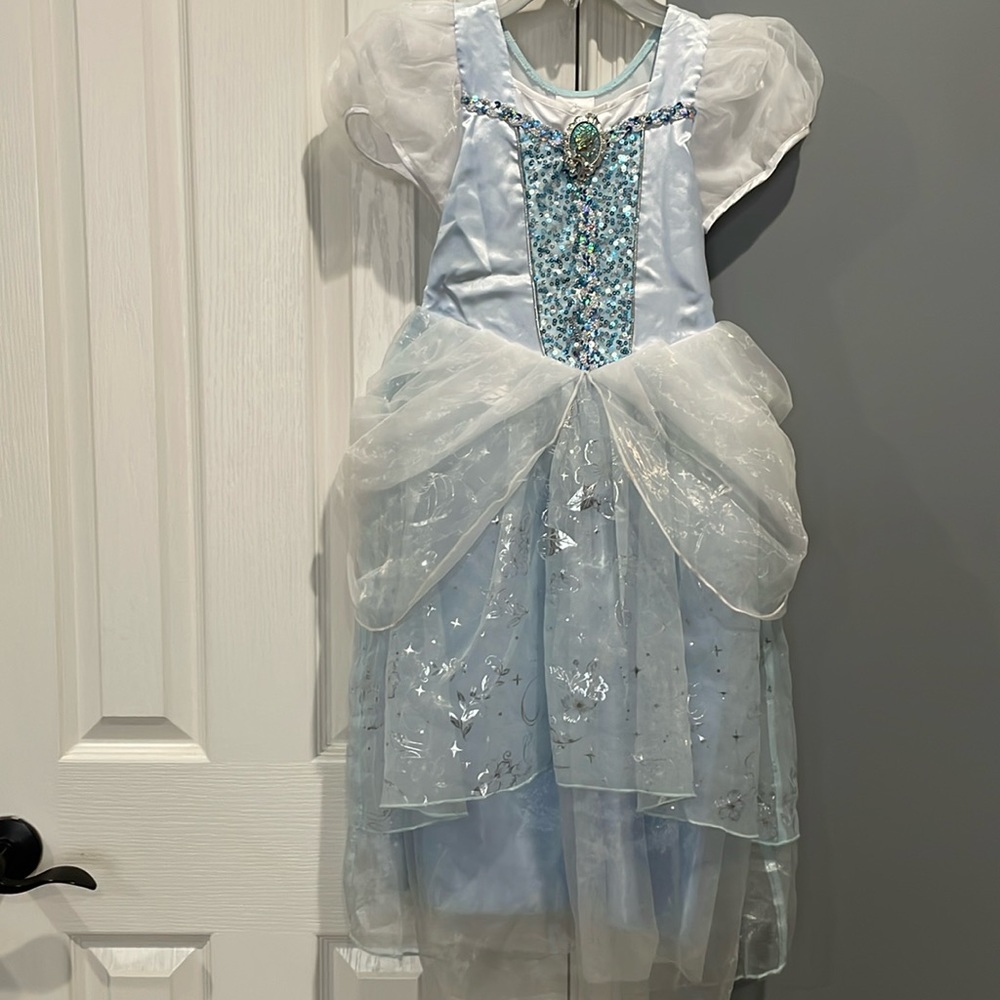 Cinderella costume, shoes, and accessories